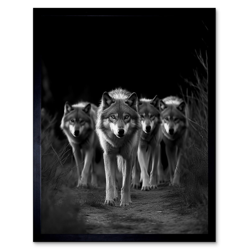 Oatley A Pack Of Wolves Wild Animal Black And White Photo - Single Picture Frame Print