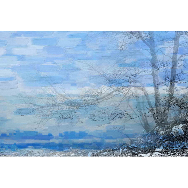 Parvez Taj - Wrapped Canvas Print, 61cm H x 91cm W