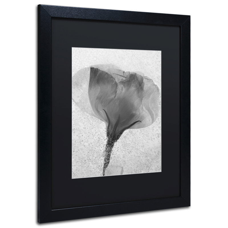 Moises Levy - Single Picture Frame Print on Canvas, 20" H x 16" W x 0.5" D