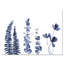 Eucalyptus I - reproduction sur toile tendue-59623764