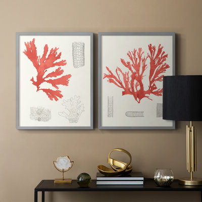 «Vintage Coral Study III», reproduction encadrée de qualité supérieure - prête à être accrochée - aucun clou requis - aucun clou requis