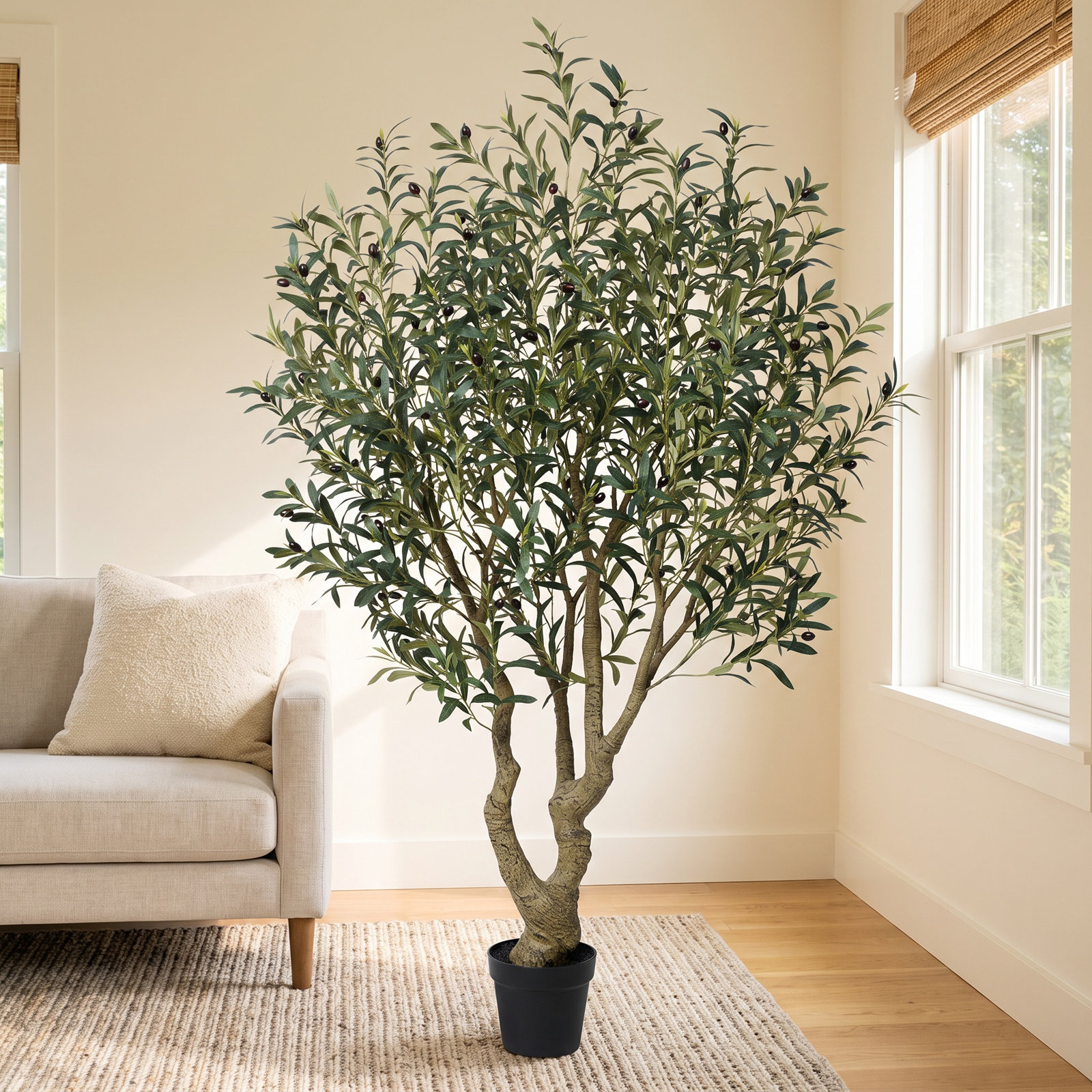 Adcock Olive Tree in Pot, 72" H x 30" W x 30" D