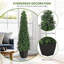Faux Boxwood Tree-487906316