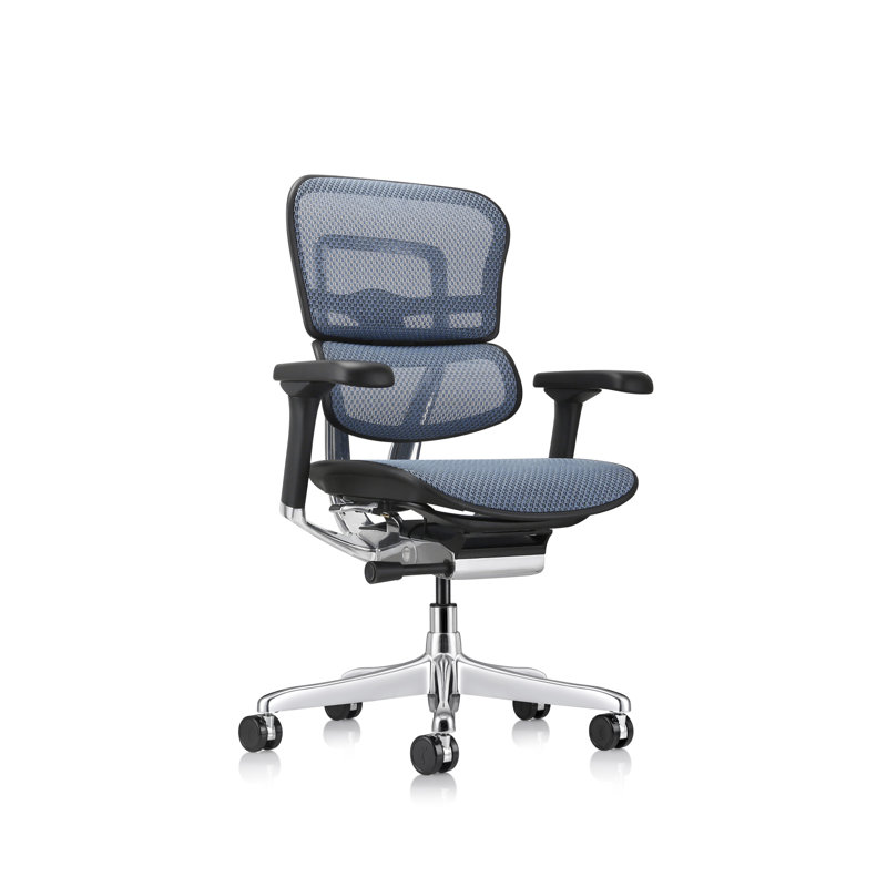 Ergohuman Task Chair, Blue - Generation 2
