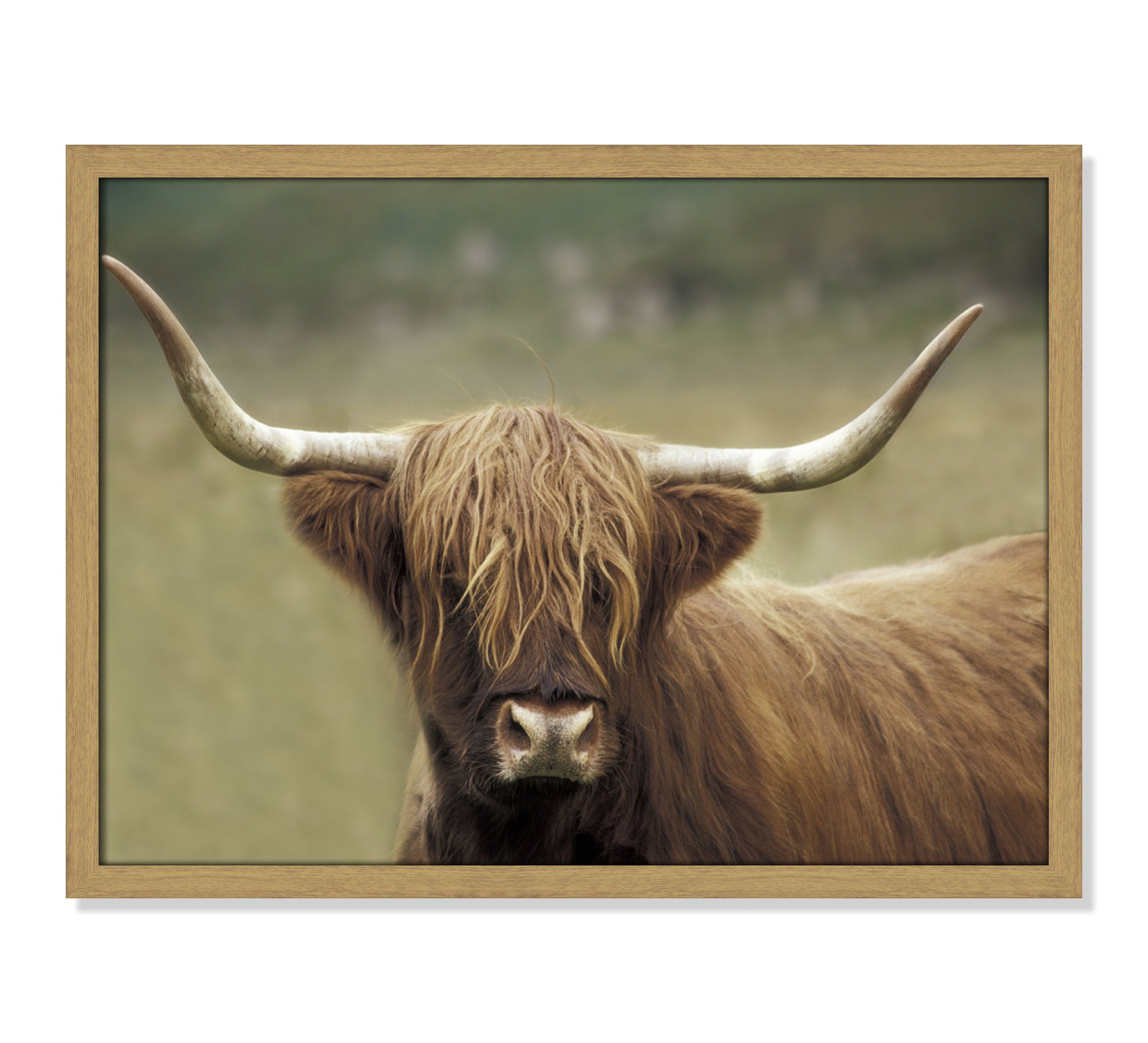 Frederic "Highland Afternoon" Print, 17" H x 23" W x 0.75" D, Natural Wood Grain Framed