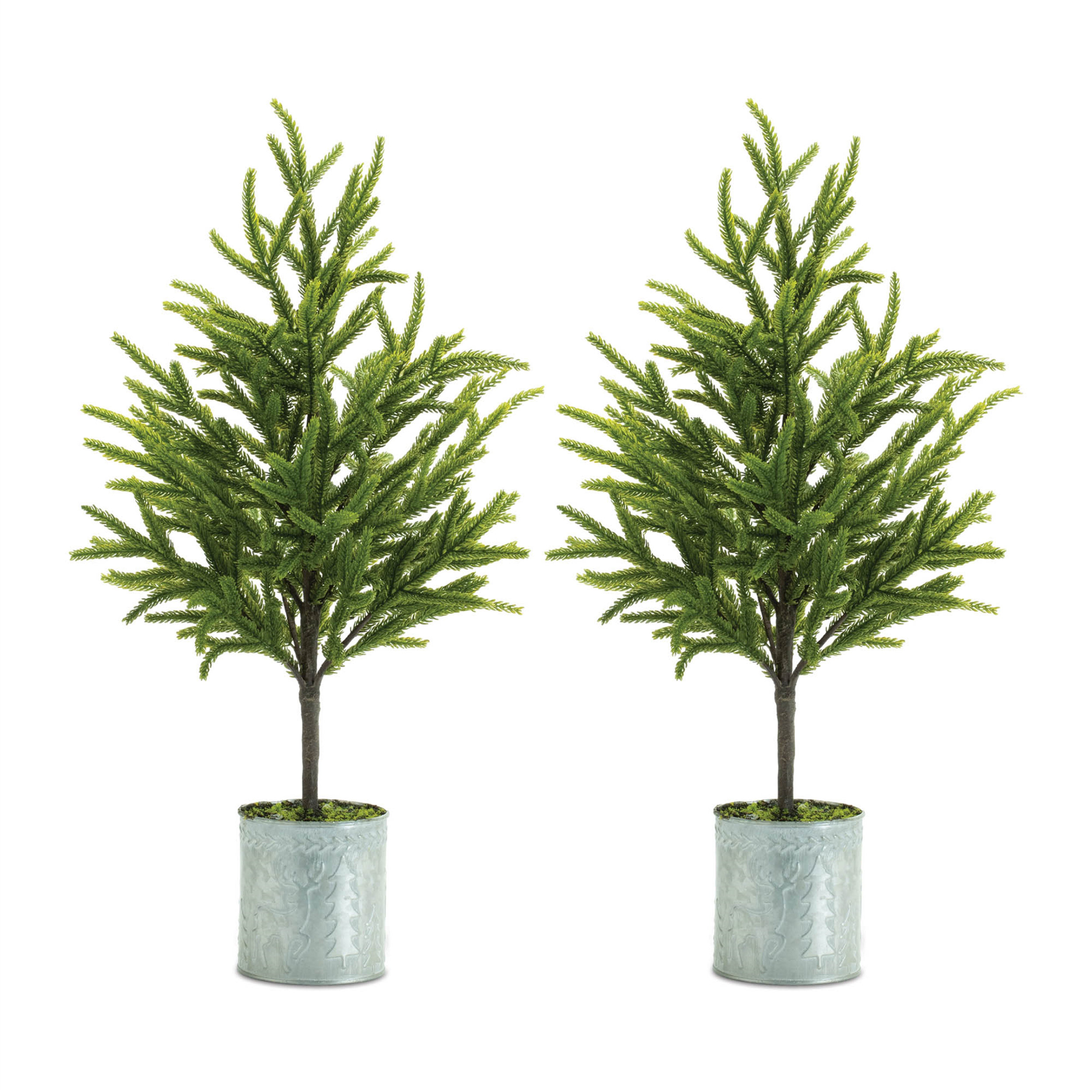 Ophelia & Co. Potted Mini Pine Tree (Set of 2) | Wayfair