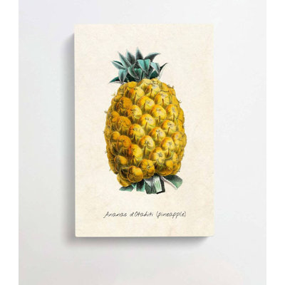 Illustration of a Pineapple - Wrapped Canvas