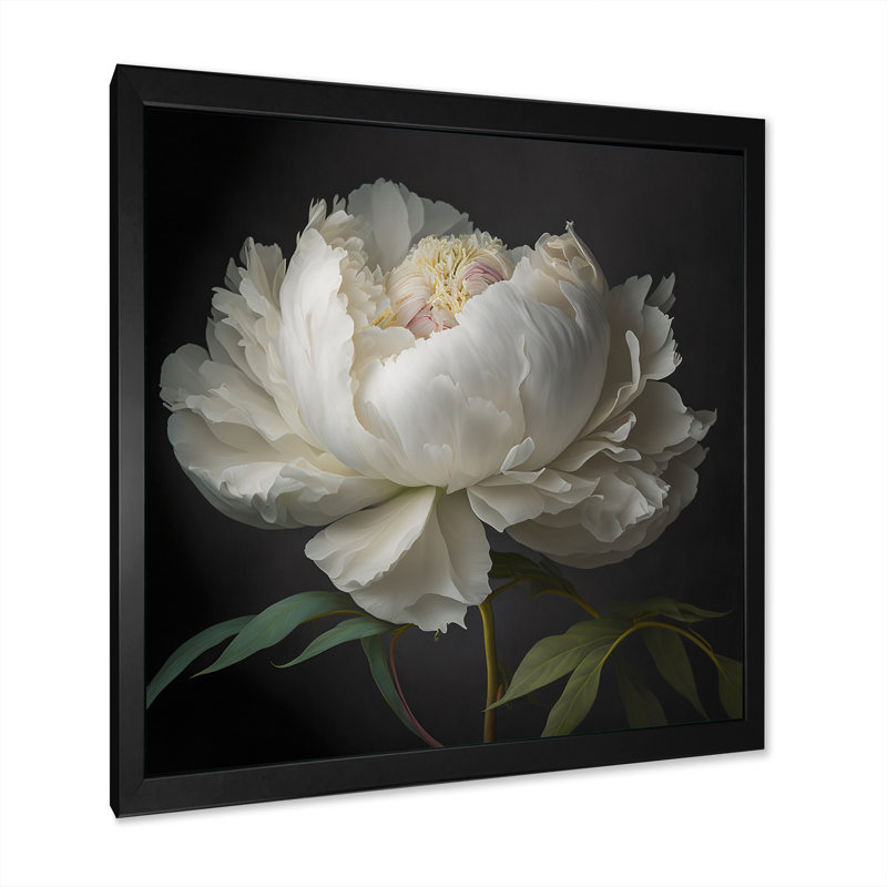 Blooming White Peony VI - Art mural pivoine, L 24 po x H 24 po x P 1 po, Impression encadrée, Noir