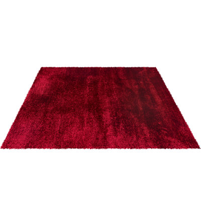 Bhuri Shag Indoor / Outdoor Area Rug