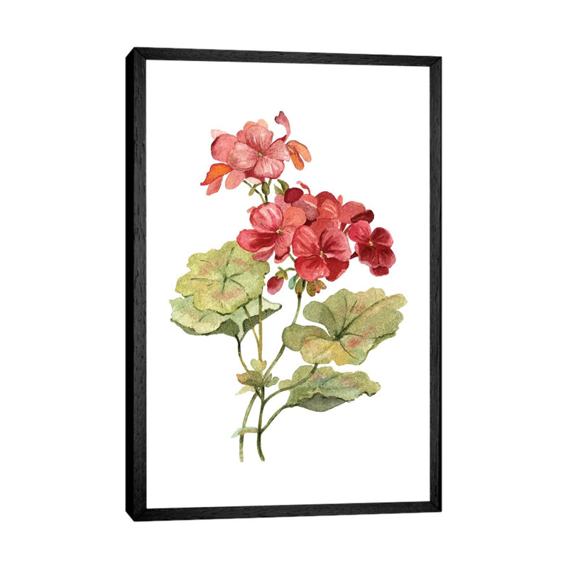 Scarlet Geranium by Carol Robinson - Painting on Canvas, Black Framed, 152.5 cm H x 101.5 cm W