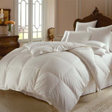 Himalaya 800 Goose All Season Down Comforter