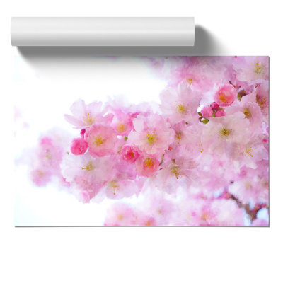 Pink Cherry Blossom Flowers Painting - Frameless Print