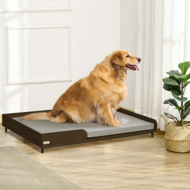 Canapé pour chien