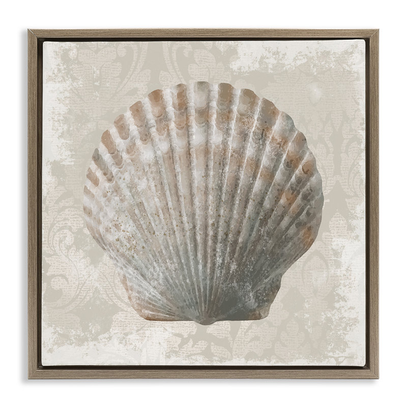Coquille de palourde sur motif rétro, H 18 po x l 18 po, Cadre flottant orme Montalcino