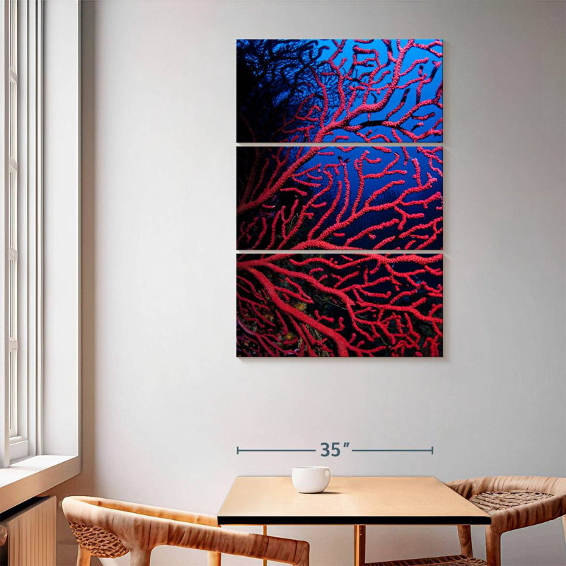 Brampt Violescent Sea Whip, 65" H x 42" W