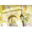 Parvez Taj - Wrapped Canvas Print-16672564