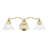 Ellerkamp 3 - Light Dimmable Vanity Light-1621176615