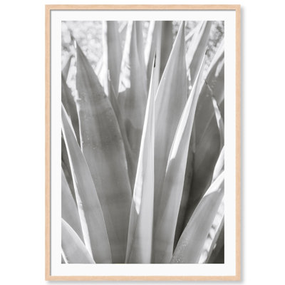 Muted Cactus Print by Carly Tabak