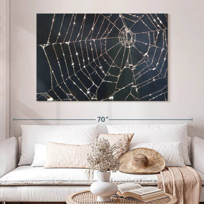Crowle Spider Web