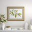 Malaberica Leaves In Color 3 Giclee Print by Soicher Marin Archives