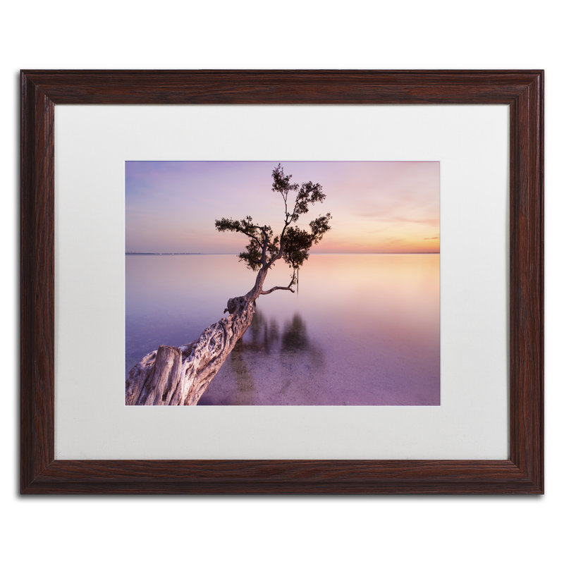 Moises Levy White Framed Canvas Print, 16" x 20"
