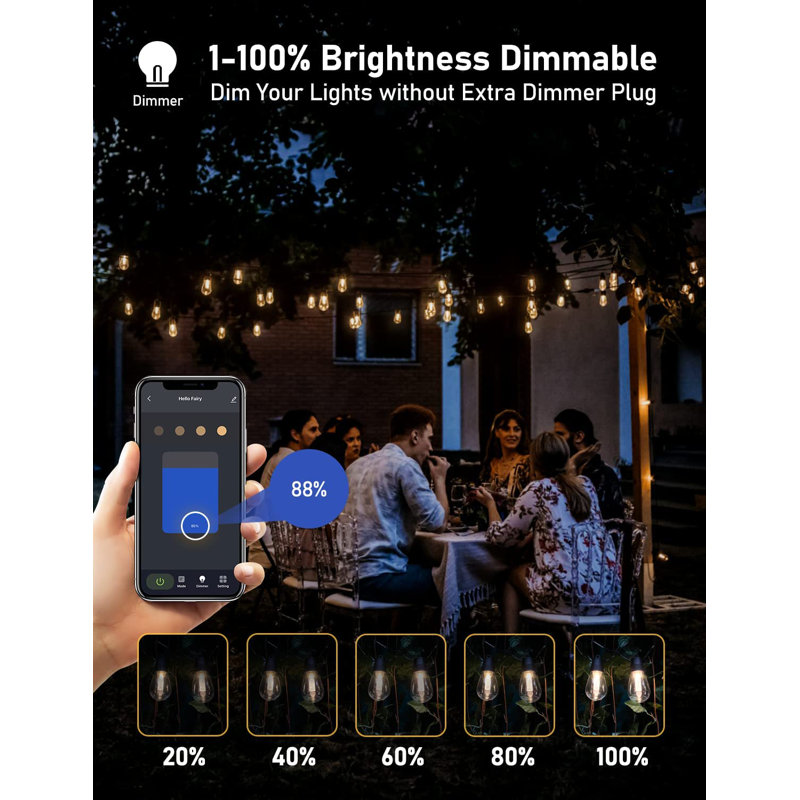 25 Light String Lighting