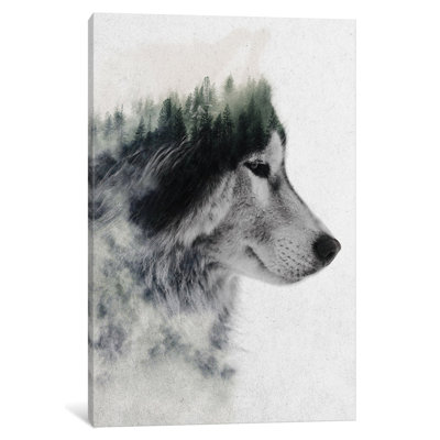 " Wolf Stare " by Andreas Lie