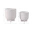 Jardinière Weeda, ensemble de 2 - 8 po, 6 po - fini texturé pour poterie et ciment