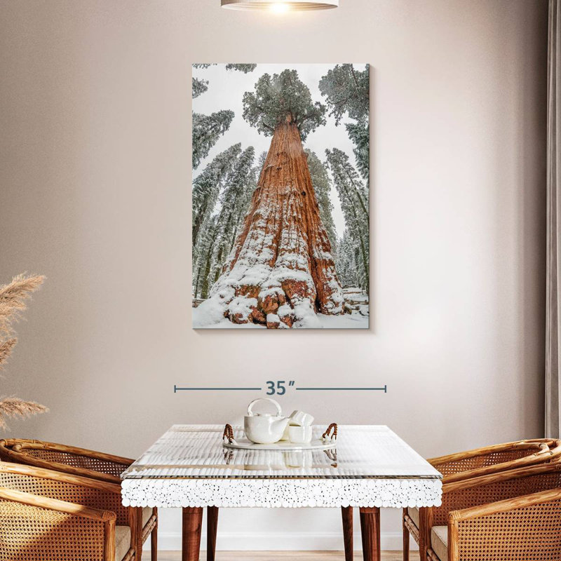 Harnek Wintry Sequoia Tree, 45" H x 30" W