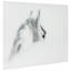 Sans cadre, impression sur verre