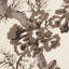 Tissu Pyne Hollyhock-22433665