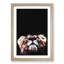 Lion Looking Upwards in Abstract - Picture Frame Graphic Art Print-55761181-55761185