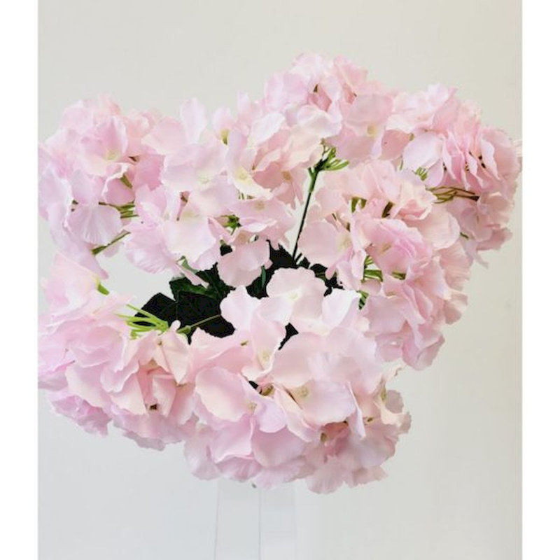 Hortensia, Rose clair