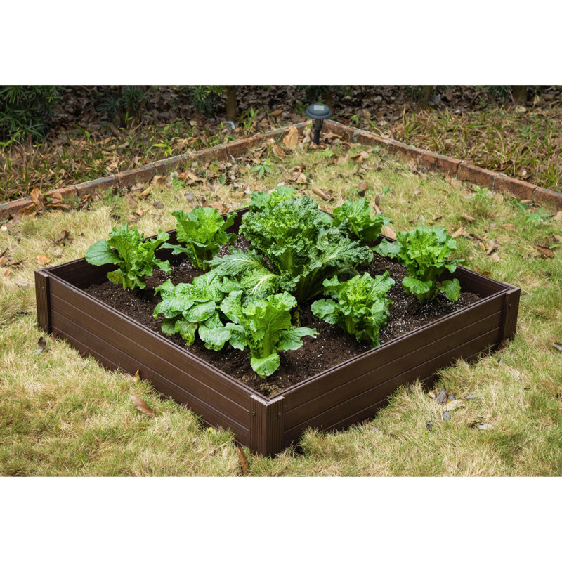 Lit de jardin surélevé Wilsmere, H 10,12 po x l 47,87 po x P 47,87 po