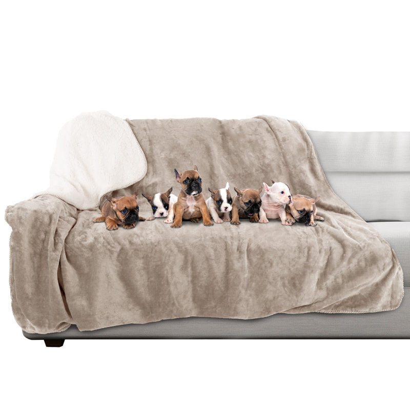 Large Tan Waterproof Reversible Pet Throw Blanket