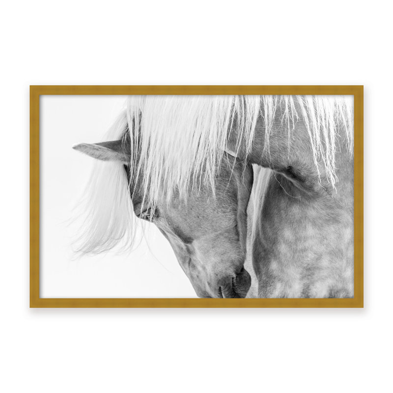 Nature Inspired Halflinger Portrait by  - Picture Frame Photograph on Paper, Framed Canvas, 32" H x 48" W x 2.375" D, White