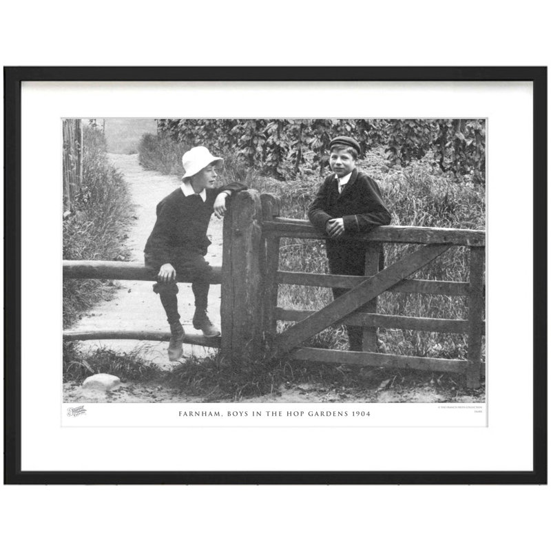 Farnham, Boys In The Hop Gardens 1904 by Francis Frith - Single Picture Frame Print, 45cm H x 60cm W x 2.3cm D