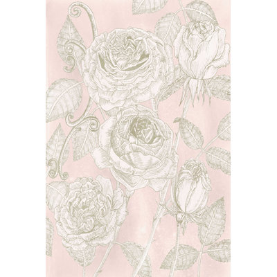 Floraison de roses I