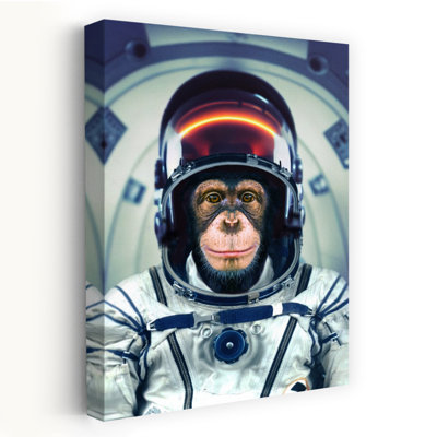 «Chimpanzee Space Pilot», reproduction d'art contemporain