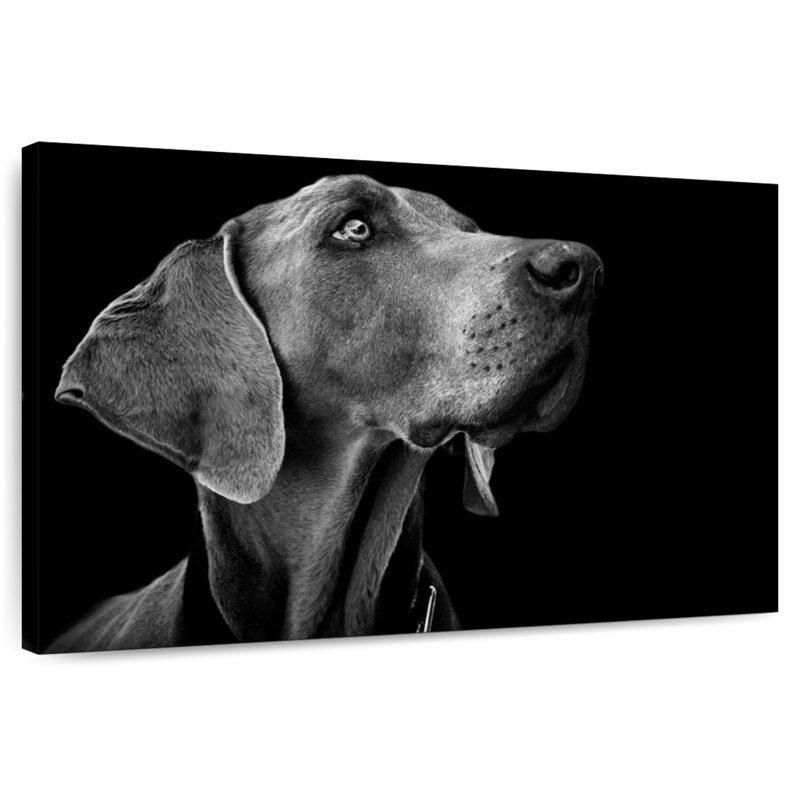 Brampt chien monochrome, H 16 po x l 24 po