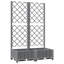 Aunah Raised Garden Bed with Trellis