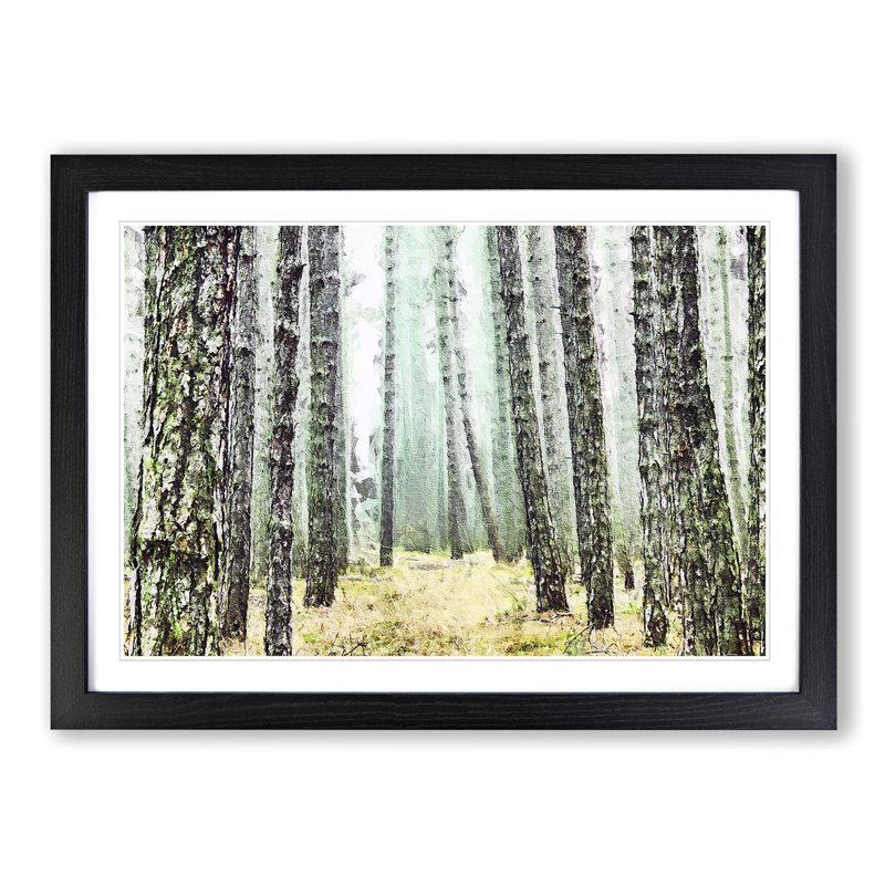 View of a Pine Tree Forest - Picture Frame Painting Print on MDF, 65cm H x 48cm W x 2cm D, Black Framed