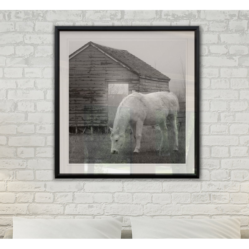 Misty Pasture - reproduction de cadre photo, H 30,5 po x l 30,5 po x P 1,5 po
