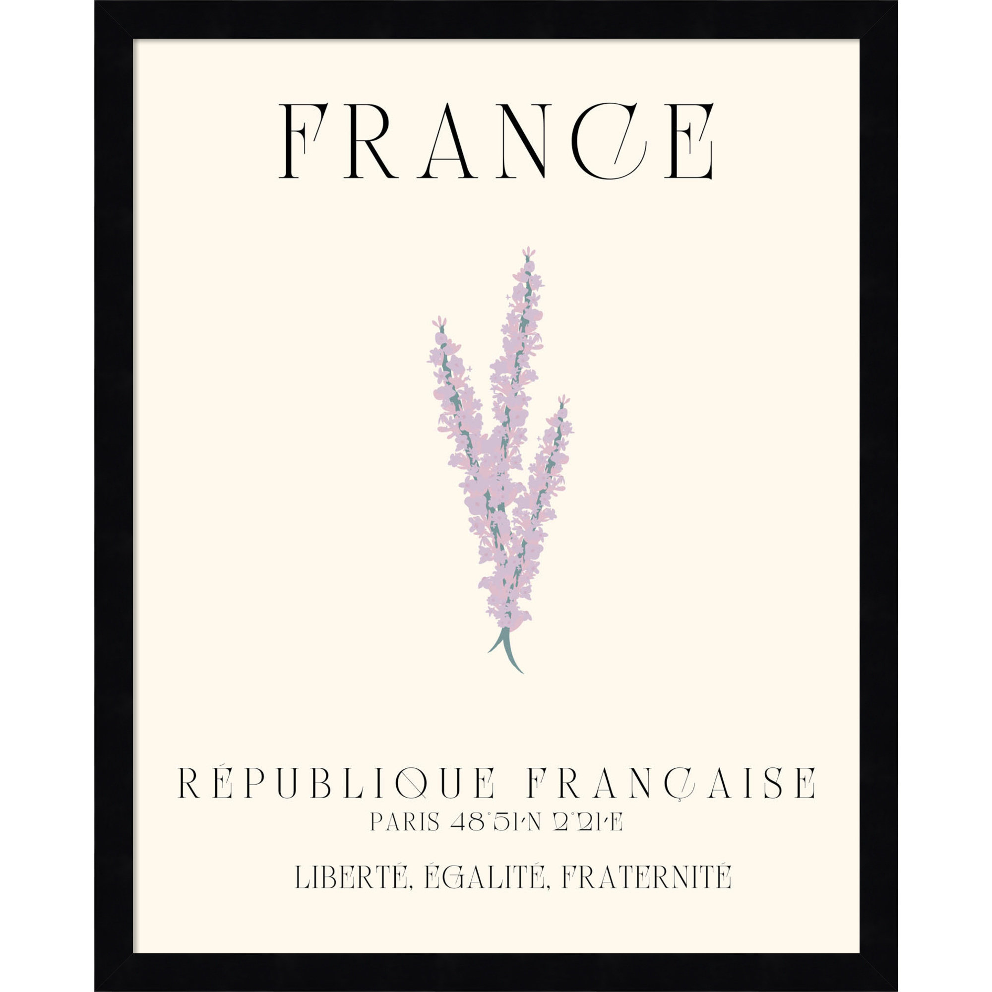 France Travel Poster French Lavender by Chayan Lewis, Black Framed, 17" W x 21" H x 1" D