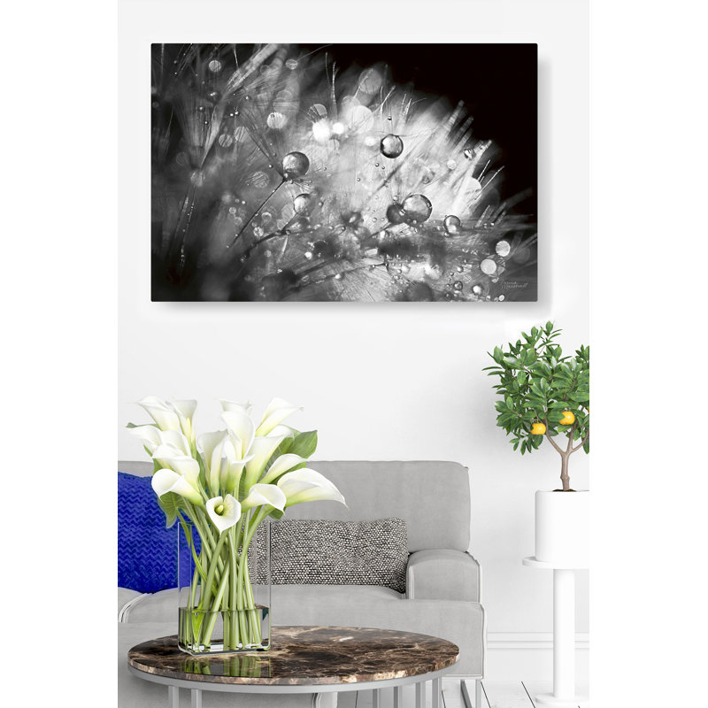Up, On Black, Black And White, 16" H x 24" W x 1.5" D