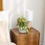 Artificial Plant