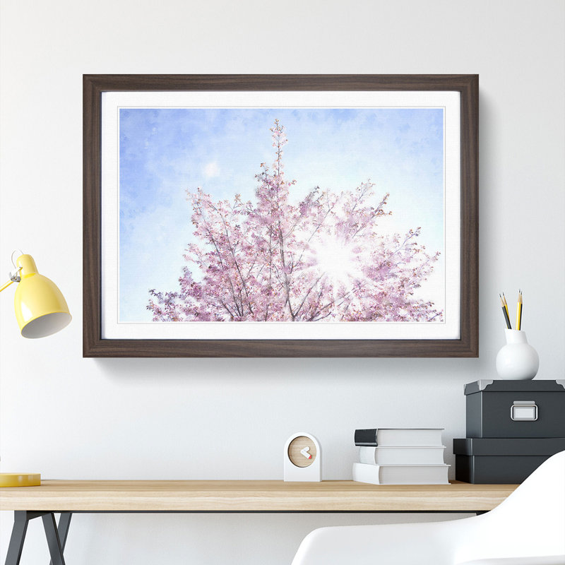 Pink Japanese Cherry Tree in Spring - Picture Frame Graphic Art Print, 33cm H x 45cm W x 2cm D, Walnut