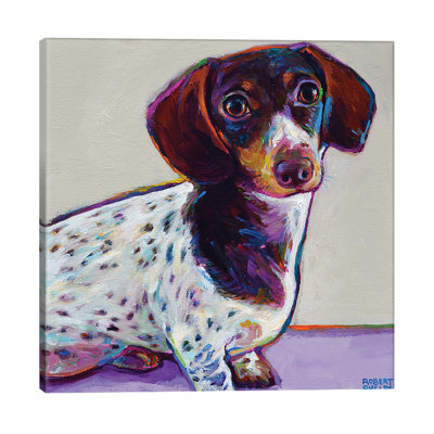 Buttercup The Dachshund - Wrapped Canvas Painting