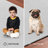 Jenish Performance Indoor Rug-575445839