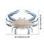 Décoration murale 3D en bois et crabe de mer galvanisé